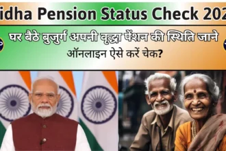 Vridha Pension Status Check: घर बैठे बुजुर्ग अपनी वृद्धा पेंशन की स्थिति जाने, ऑनलाइन ऐसे करें चेक?